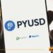 Paxos Minting Error Sends PYUSD Market Cap Past $300T