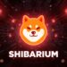 Shiba Inu Unveils Privacy Upgrade for Shibarium