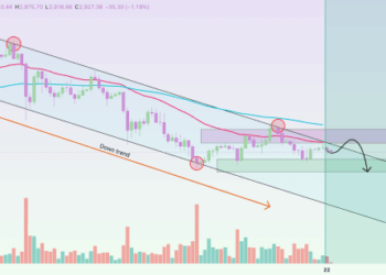 Reasons Why The Ethereum Price Will Continue To Crash
