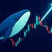 XRP Whale Activity Spikes At The Bottom – A Classic Pre-Rally Signal