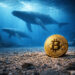 Bitcoin ‘whales’ didn’t buy $5 billion