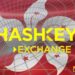 Hashkey Shares Slide 3% After $206M Hong Kong IPO