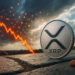 XRP defies bearish sentiment with active ledger and ETF inflows