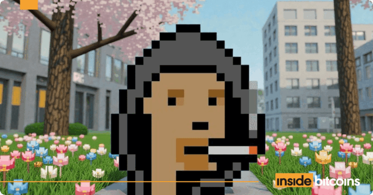 A Hoodie Punks NFT, Bought For $82K In 2021, Sells For $382K