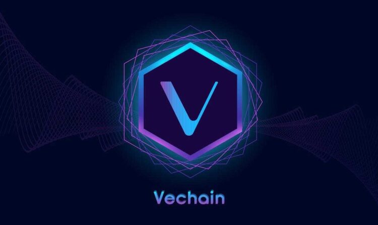 VeChain in New Research Helps Companies Build Trust