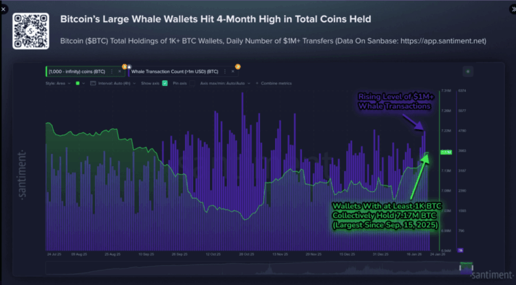 104K BTC Added As $1M Transfers Surge