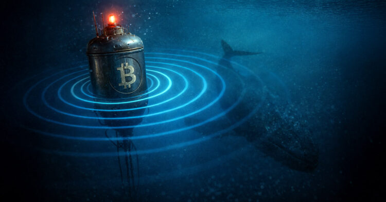 Bitfinex whale buy signals Bitcoin price battleground at $90,000