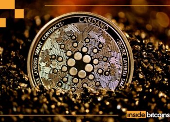 Cardano Whales Stack 210M ADA, Igniting $1 Recovery Hopes