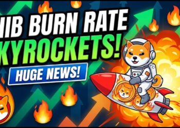 Shiba Inu Sees Bullish Revival as Token Burn Rates Surge