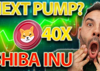 How High Can $SHIB Go In The Next Crypto Rally?