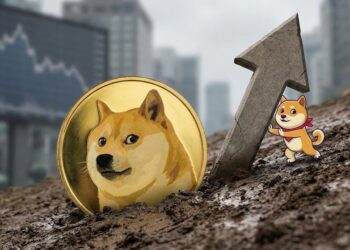 Dogecoin (DOGE) Trapped In Weak Rebound, Bears Still In Charge