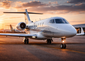 ETHZilla Unveils Eurus Aero Token I Tied to Jet Engines