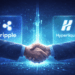 Ripple Prime, Hyperliquid Unlock Institutional Derivatives