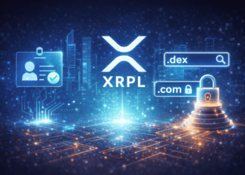 XRPL Targets Institutional With Domains, Permissioned DEX