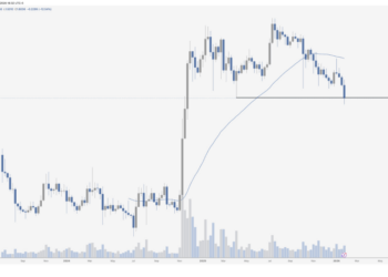 XRP Tops All Assets On Risk/Reward, Analyst Says