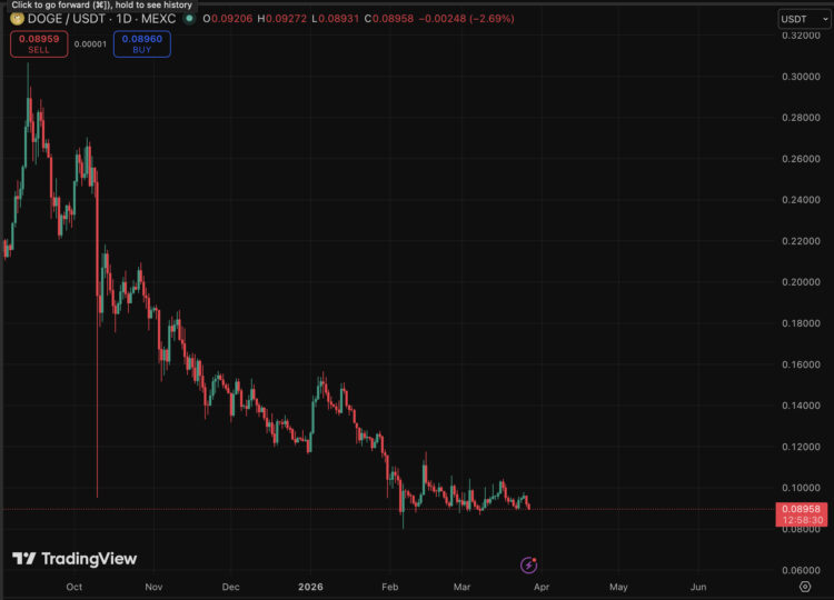 DOGE Price Prediction: Big Holders Accumulate, Elon Musk?
