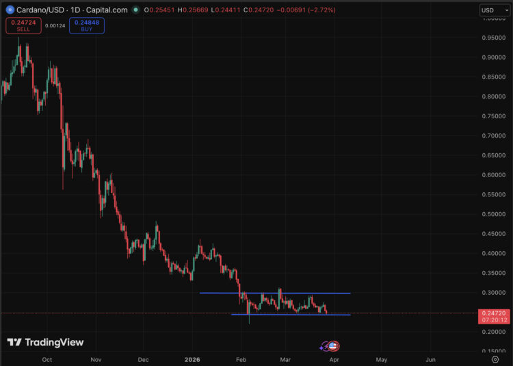 Cardano Price Prediction: Co-Founder Praises Midnight – Should ADA Holders Be Worried?