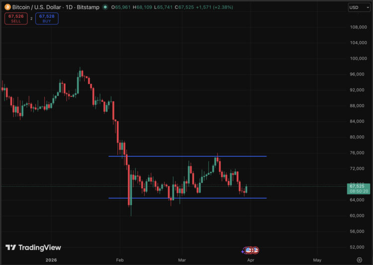 BTC USD Price Recovers: Are Trump and Iran Nearing a Peace Deal?