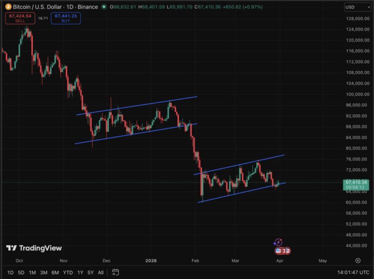 BTC USD Price Prediction: 6 Months Red Streak Almost Confirmed – First 7th Red Month Coming?