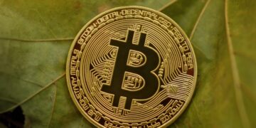 Bitcoin Rally May Be Setting Up A Macro Lower High, Analyst Says