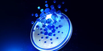 Analyst Predicts Crash To This Target