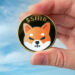 AI Prediction Says Shiba Inu Won’t Hit All-Time High This Year