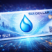 Sui Dollar Launches as Native Digital Dollar for Payments