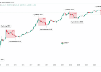 Bitcoin Bear Market Could Be Shrinking, But Are We Watching History Repeating Itself?