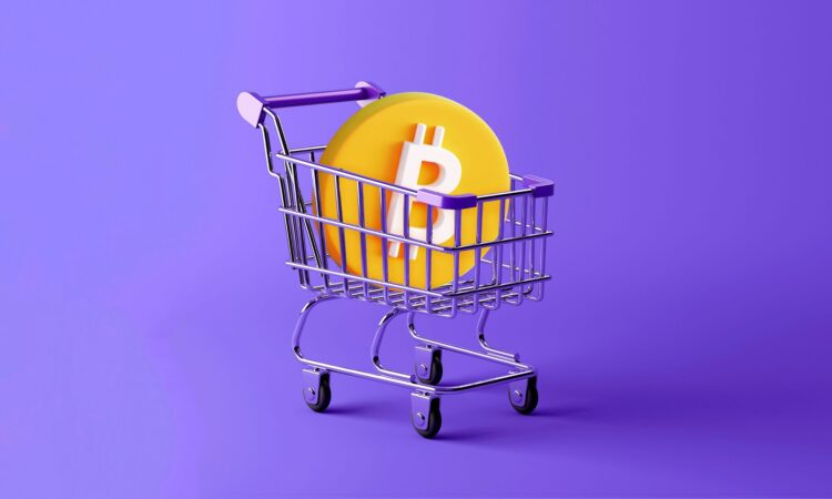 Long-Term Bitcoin Holders Buy $14B In BTC As Retail Headed For The Exit