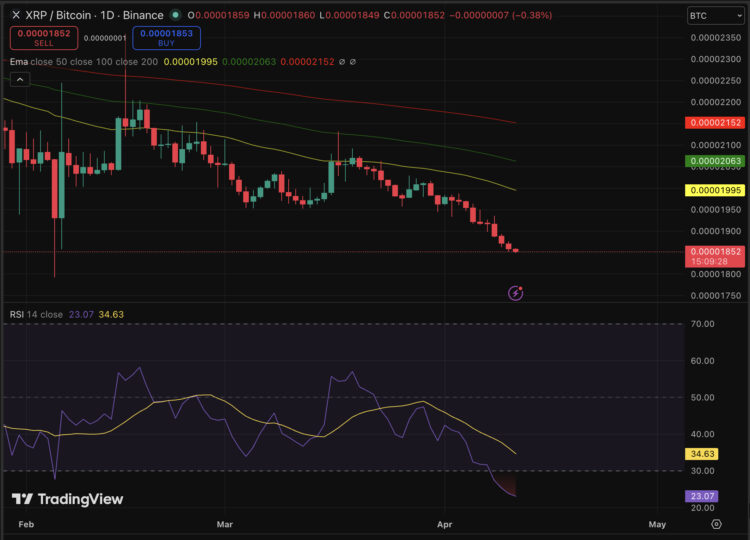 XRP Price Prediction: Bottom Signals Flashing, Good Time to Scoop?