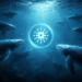Cardano Whale Count Climbs To 4-Month High Amid Steady Accumulation